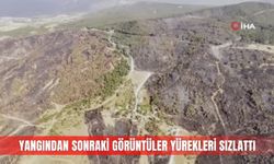 Yangından sonraki görüntüler yürekleri sızlattı