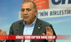 Gürsel Tekin CHP'den ihraç edildi!