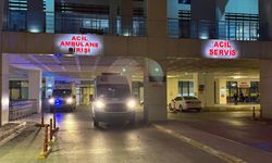 Aile faciası: 4 yaralı