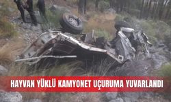 Hayvan yüklü kamyonet uçuruma yuvarlandı