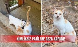 Kimliksiz patilere ceza kapıda!