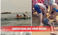 Cankurtaranların yoğun mesaisi