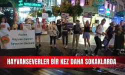 Hayvanseverler bir kez daha sokaklarda