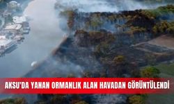 Aksu'da yanan ormanlık alan havadan görüntülendi