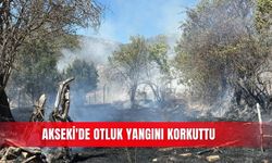 Akseki'de otluk yangını korkuttu