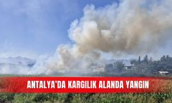 Antalya’da kargılık alanda yangın