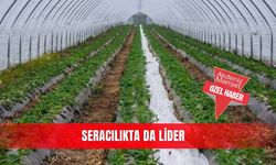 Seracılıkta da lider