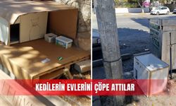 Kedilerin evlerini çöpe attılar