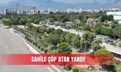 Sahile çöp atan yandı!