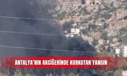 Antalya’nın akciğerinde korkutan yangın