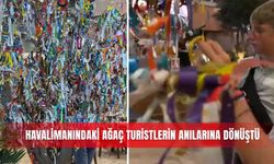 Havalimanındaki ağaç turistlerin anılarına dönüştü
