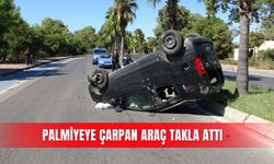 Palmiyeye çarpan araç takla attı