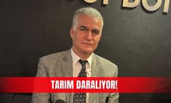 Tarım daralıyor!