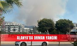 Alanya’da orman yangın