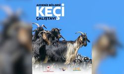 Antalya’da ‘Akdeniz Bölgesi Keçi Çalıştayı’