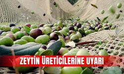 ATB'den zeytin üreticilerine uyarı