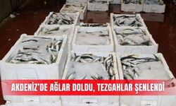 Akdeniz’de ağlar doldu, tezgahlar şenlendi