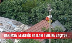 Bakımsız elektrik hatları tehlike saçıyor
