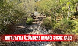 Antalya’da Üzümdere Irmağı susuz kaldı