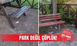 Park değil çöplük!