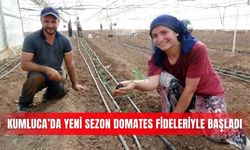 Kumluca’da yeni sezon domates fideleriyle başladı