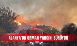 Alanya’da orman yangını sürüyor