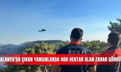 Alanya'da çıkan yangınlarda 400 hektar alan zarar gördü