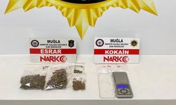 Muğla'da zehir operasyonu