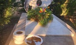 O mezara köpek maması bırakıldı!