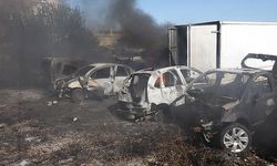 Otluk alanda yangın: 12 araç zarar gördü