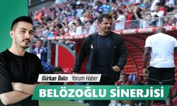 BELÖZOĞLU SİNERJİSİ