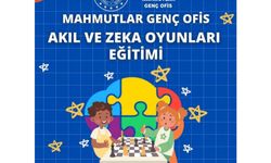Akıl ve zeka oyunları eğitimi
