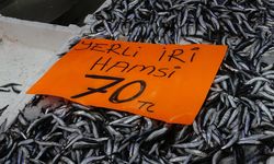 Hamsi 70 liraya düştü, vatandaş sevinçten çiğ yedi