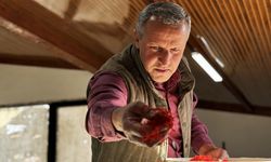 AB tescilli safranın hasadı sürüyor