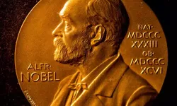 2025 Nobel Tıp Ödülü'nün sahibi belli oldu