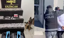 Uyuşturucu sevkiyatına ağır darbe