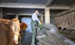 Dünya Gıda Günü’nde şap kaynaklı hayvansal gıda eksikliği uyarısı