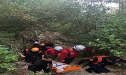 AFAD, ormanda mahsur kalan turisti kurtardı