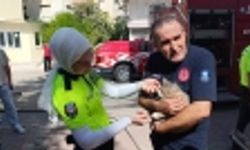 Yangından korkan kedi sağ salim kurtuldu