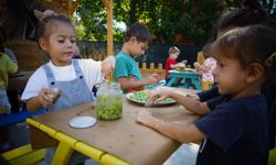 Minik eller zeytin işledi