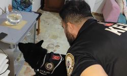 'Narko Kapan' operasyonu ile 351 şüpheli tutuklandı