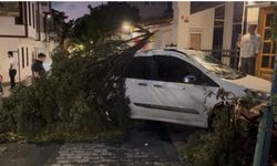 Fırtına pazar yerindeki güneşlikleri devirdi, tezgahları savurdu