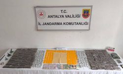 Alanya’da zehir operasyonu