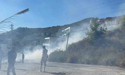 Alanya’da ağaçlık alan yangını korkuttu