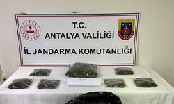 Alanya’da uyuşturucu operasyonu