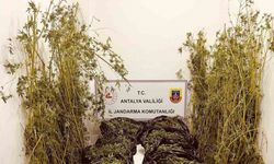 Kilolarca uyuşturucu ele geçirildi