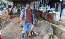 Hayvanları sele kapılan Aktaş: "Adam boyu sel geldi"