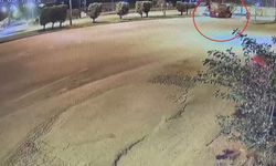 Su tankerine çarpan kamyonetin sürücüsünün öldüğü kaza anı kamerada
