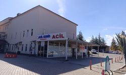 Arının soktuğu çocuk hayatını kaybetti