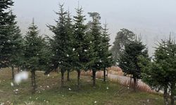 Bolu’da mevsimin ilk karı yağdı